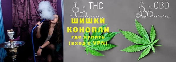 дживик Горнозаводск
